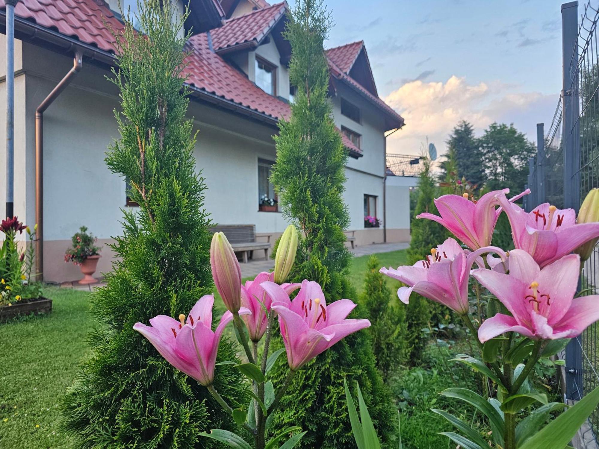 Noclegi Венгерска-Гурка Экстерьер фото